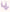 The Ruched Plunge Bralette & High Waist Swim Bundle: Lilac